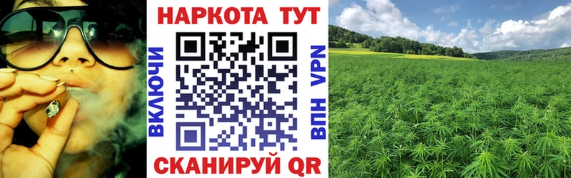 Магазины продажи наркотиков Менделеевск Марихуана Меф мяу мяу Alpha PVP Бутират ГАШ