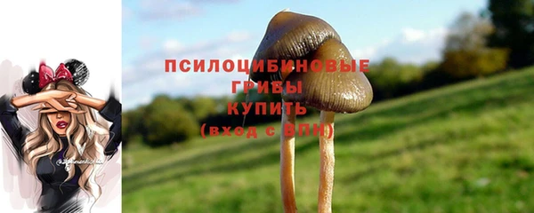 бутират Арсеньев