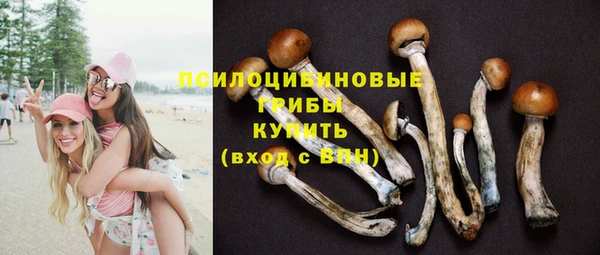 бутират Арсеньев