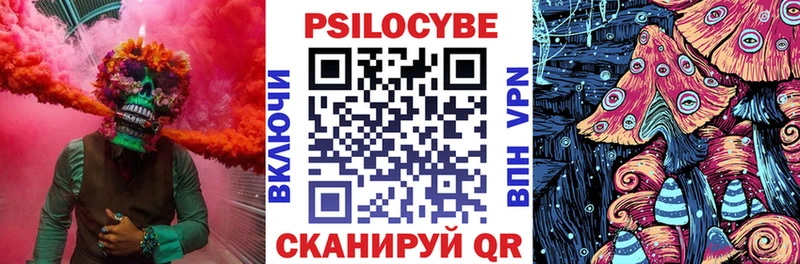 цена наркотик  Менделеевск  Галлюциногенные грибы мицелий 